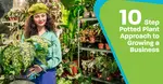 The PassivAi Potted Plant Approach to Starting a Home Business