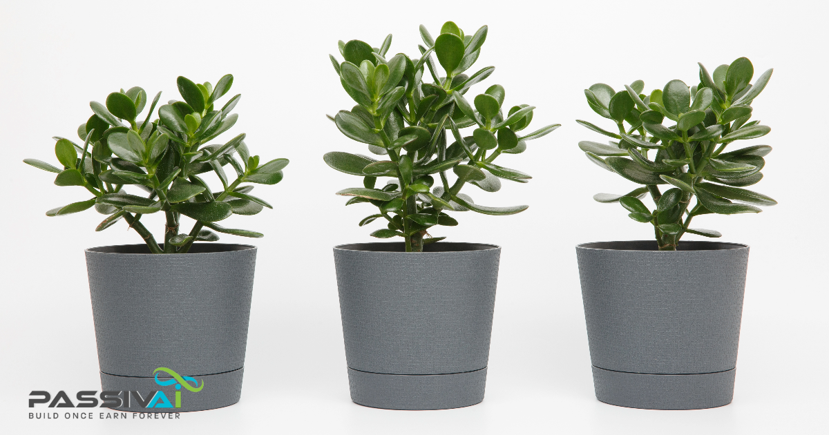 PassivAi's potted plant approach to starting a business at home - Grow your own business money tree. PassivAi's potted plant approach to starting a business at home - Grow your own business money tree.