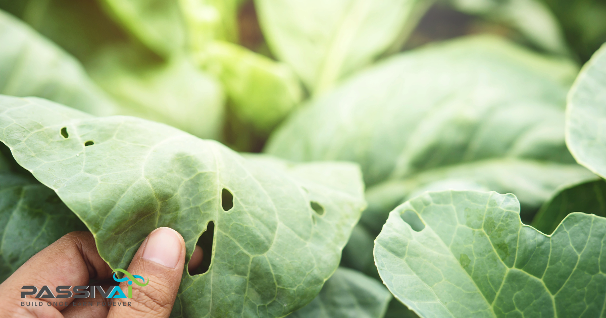 PassivAi's potted plant approach to starting a business at home - Pest control is to look out for threats and dangers. PassivAi's potted plant approach to starting a business at home - Pest control is to look out for threats and dangers.